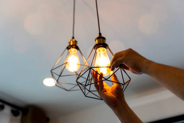 Best Home Electrical Repair  in Trenton, GA