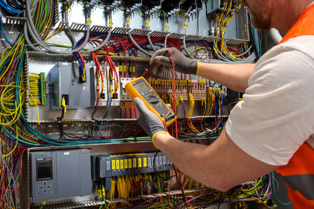 Best Electric Panel Repair  in Trenton, GA